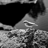 874A8013_1_UHD