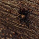 874A7715_Nik_1_UHD